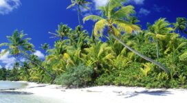 Palm Beach Solomon Islands4811910339 272x150 - Palm Beach Solomon Islands - Solomon, Palm, Lagoon, Islands, Beach
